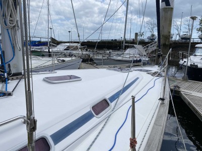 BAVARIA 44