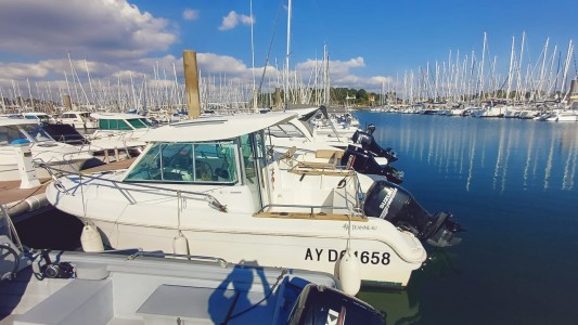 MERRY FISHER 625