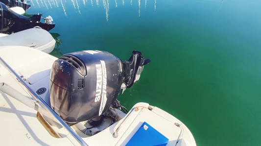 MERRY FISHER 625