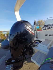 Vailant v 620 cruiser