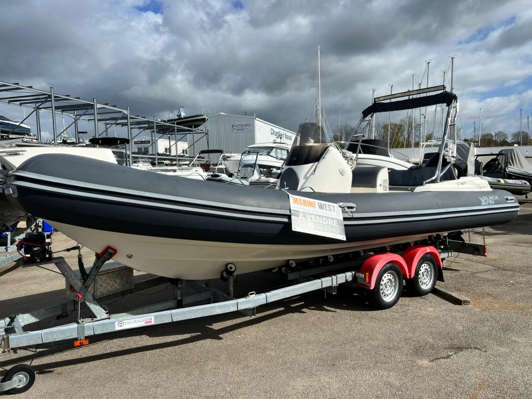 BLACK FIN elegance 7