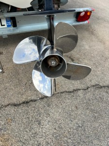 BLACK FIN elegance 7