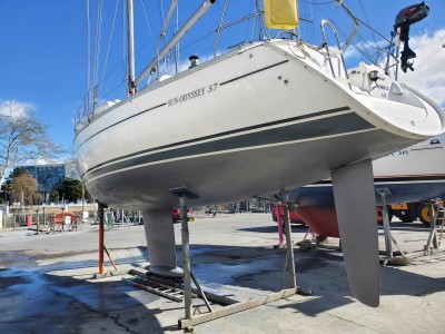 SUN ODYSSEY 37