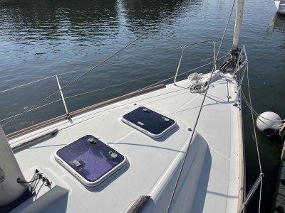 OCEANIS 31