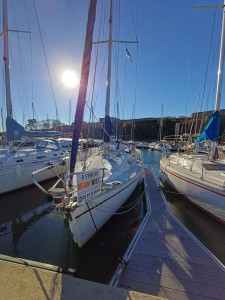 GIB SEA 334