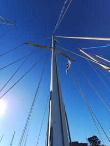 GIB SEA 334