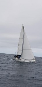 BAVARIA 42 CRUISER